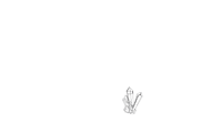 Vanessa Lewis – Mision Cristal